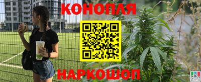 марихуана Северобайкальск