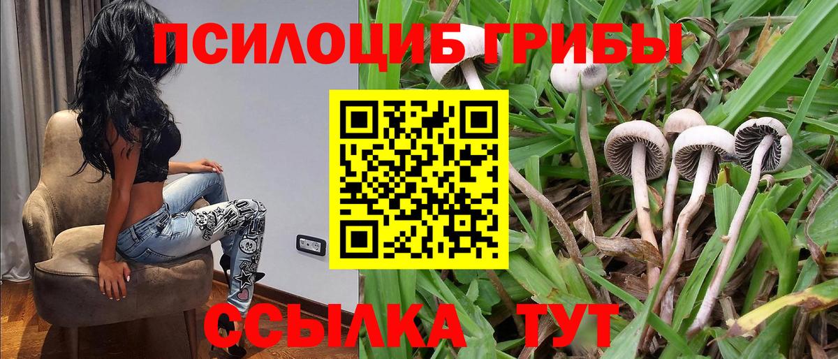 Галлюциногенные грибы Cubensis Нягань